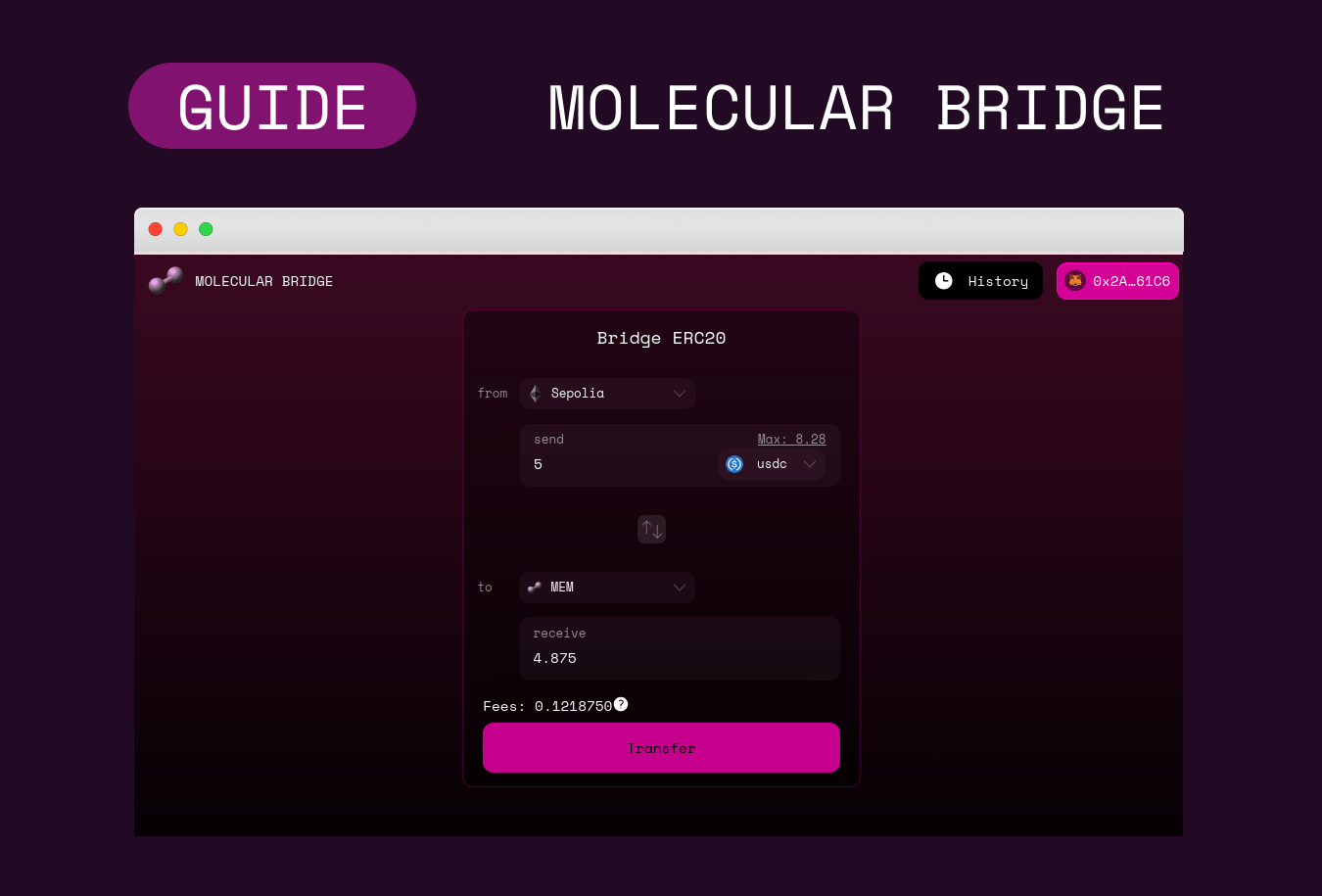 Guide: How to Use the Molecular Bridge