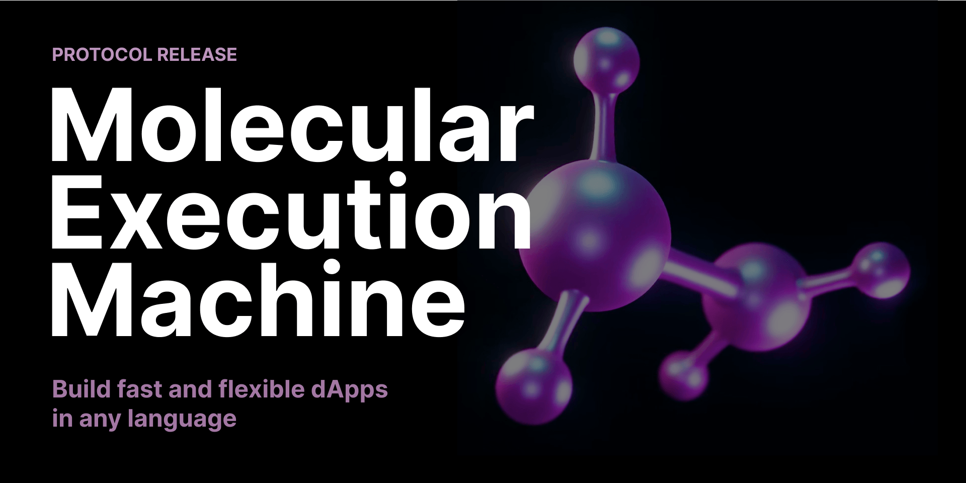 Introducing the Molecular Execution Machine